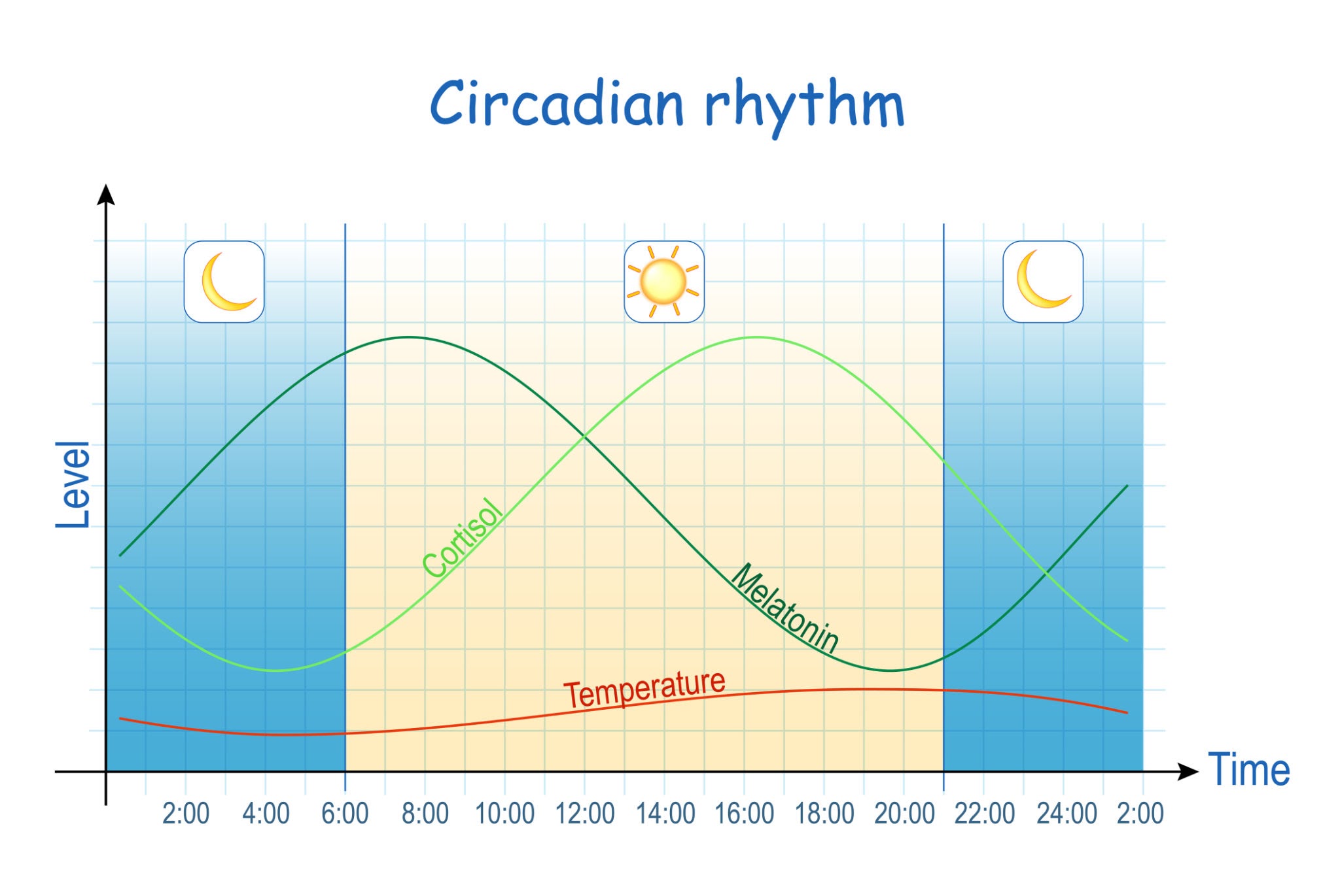 Circadian Rhythm Graph